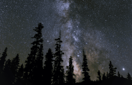 shamanic journey realms