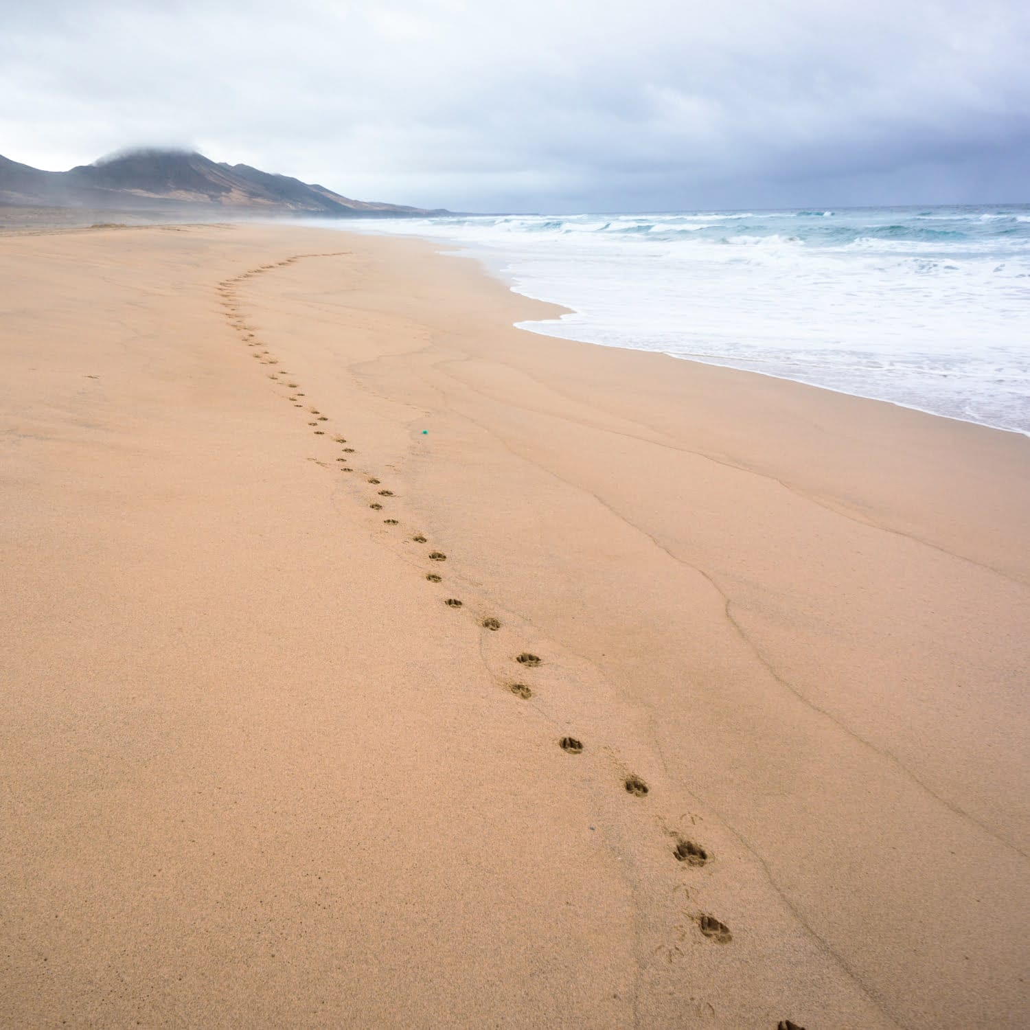 Further Steps Course - Footsteps in sand