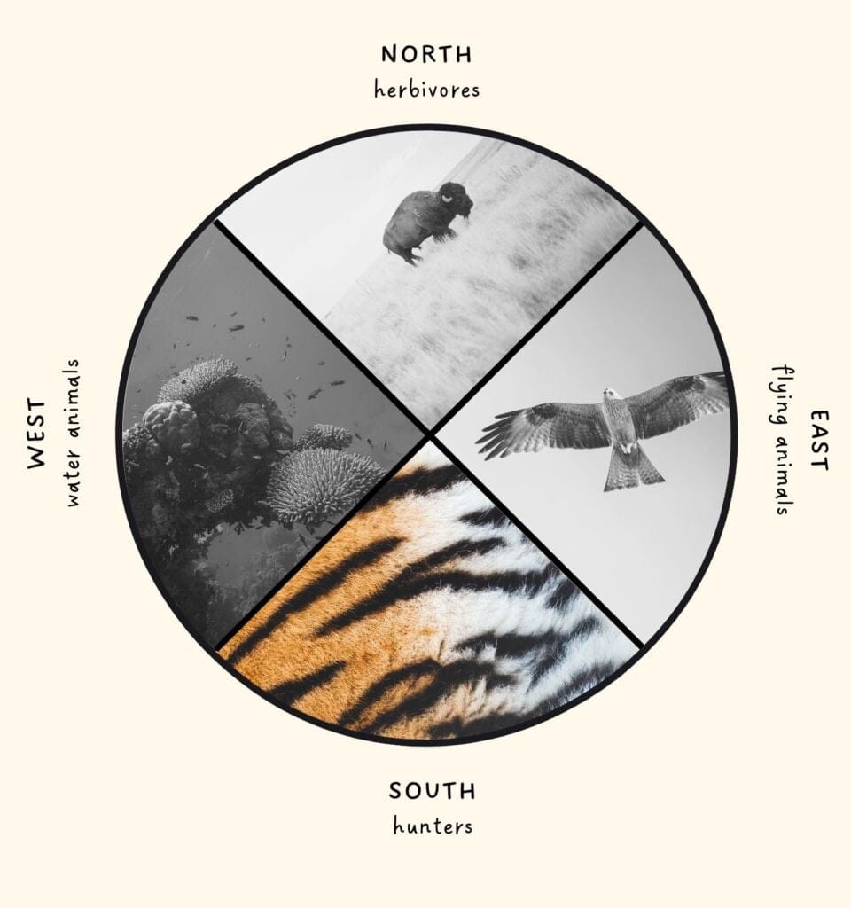 summer solstice - animals
