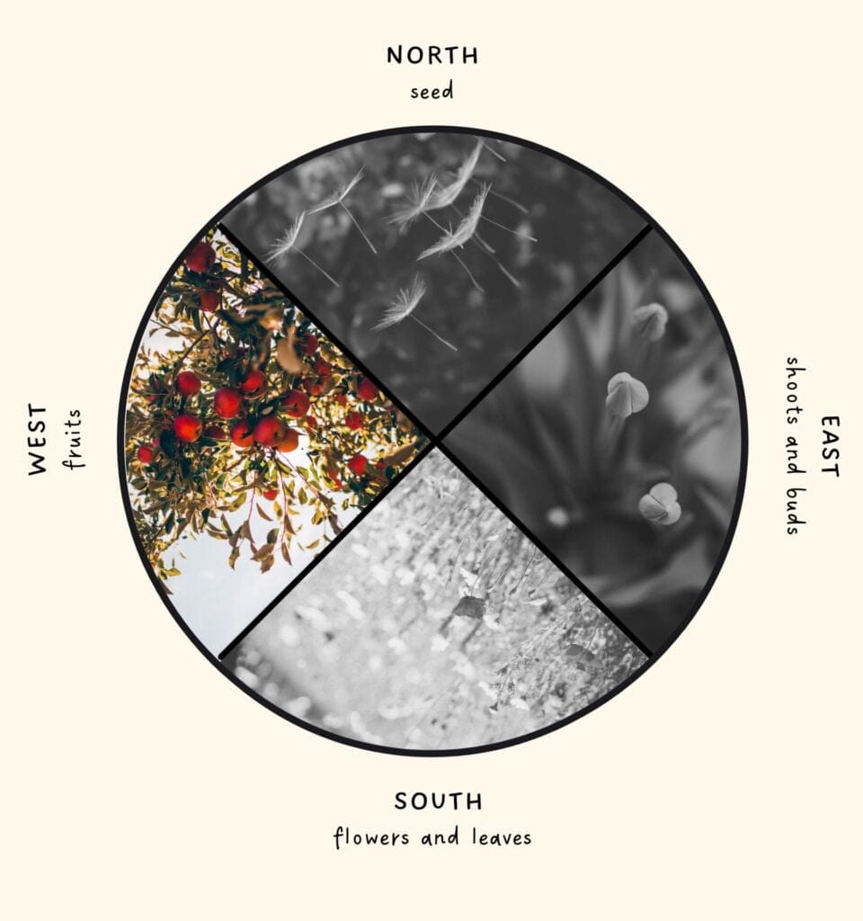 autumn equinox