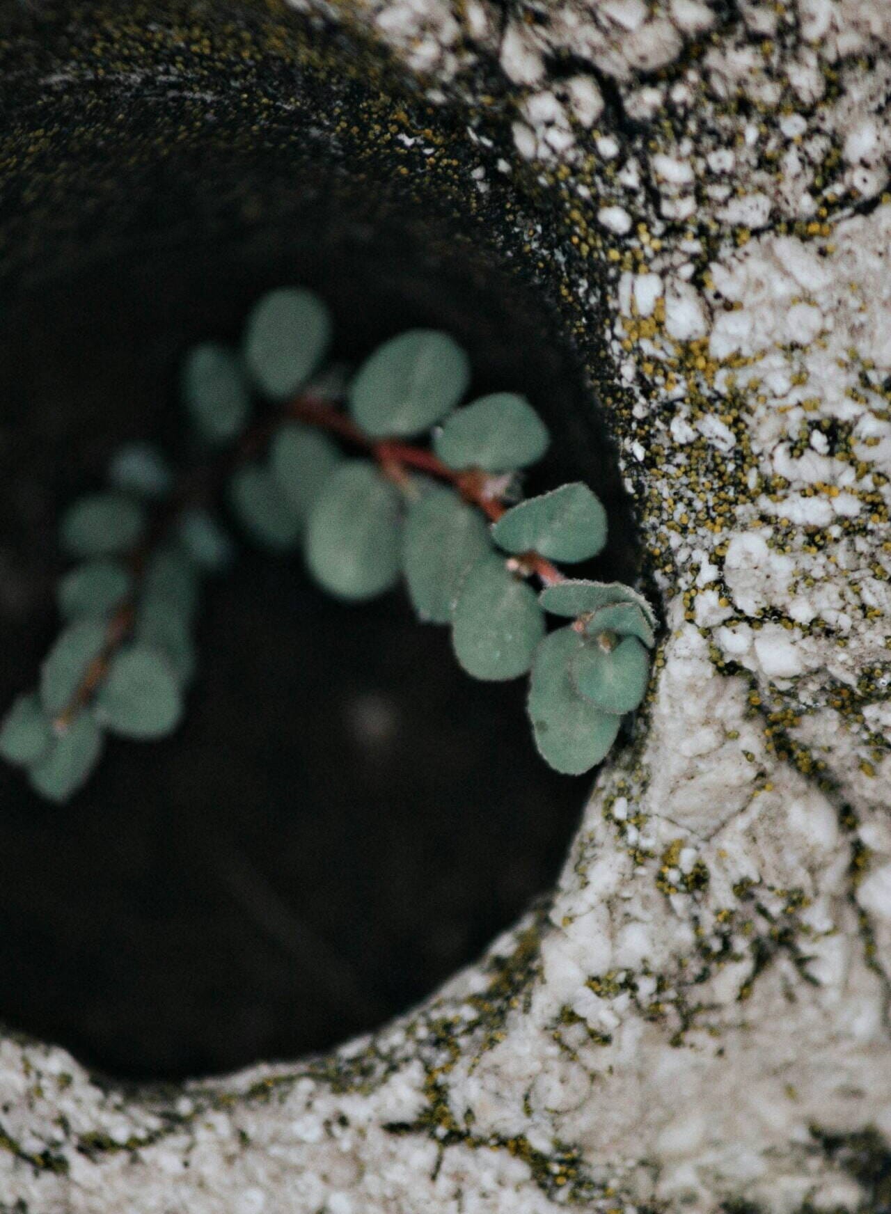 andrea-tummons-JE-yike4HdM-unsplash