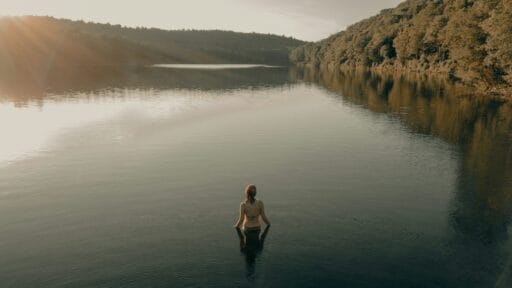 THE SHAMANIC WORLDS